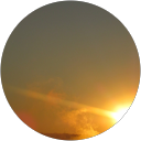 Barbara Halse profile picture